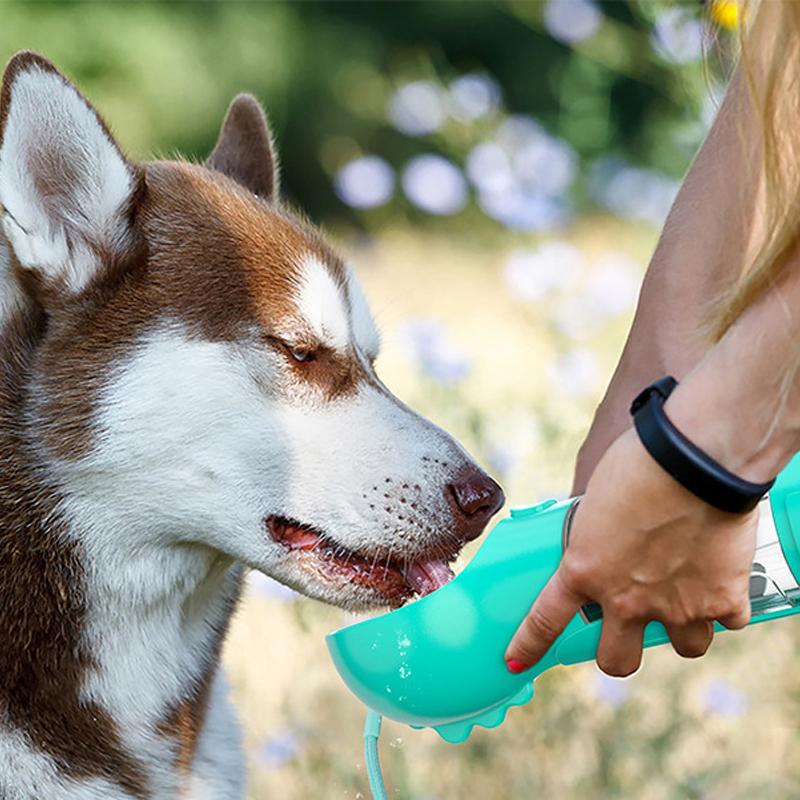 AquaPet Tragbare Trinkflasche für Hunde und Katzen – Auslaufsicher, Leicht und BPA-frei, All-in-One Wasserspender